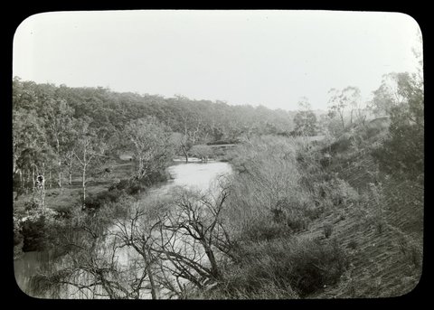 The Yarra, looking west from Alphington Railway Bridge, c. 1910