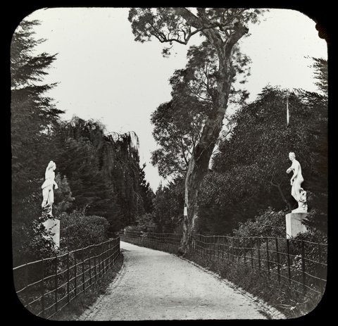 Treasury Gardens. Melb. [i.e. Melbourne], 1900–05