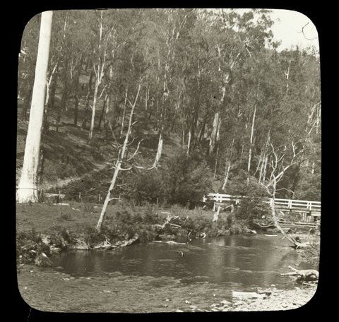 Wooden bridge over the Yarra River, country Victoria, 1909