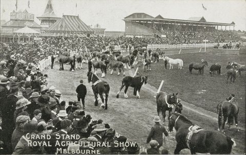 GRAND STAND ROYAL AGRICULTURAL SHOW. MELBOURNE, c. 1915