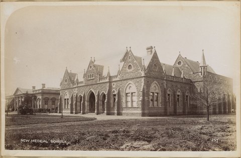 New Medical School [University of Melbourne], 1892–1900