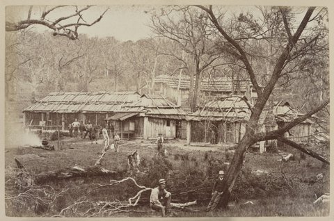 Shearers' Hut, Seven Creeks Station. N.T. Longwood, 87 Miles N.E. from Melbourne, 1870–80