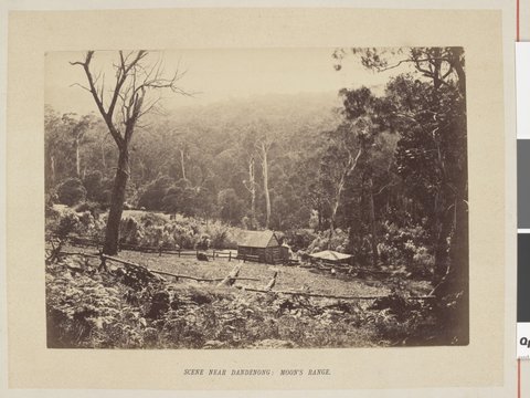 Scene near Dandenong: Moon's Range, 1877