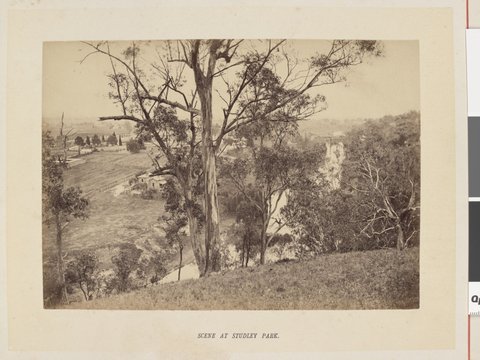 Scene at Studley Park, 1877