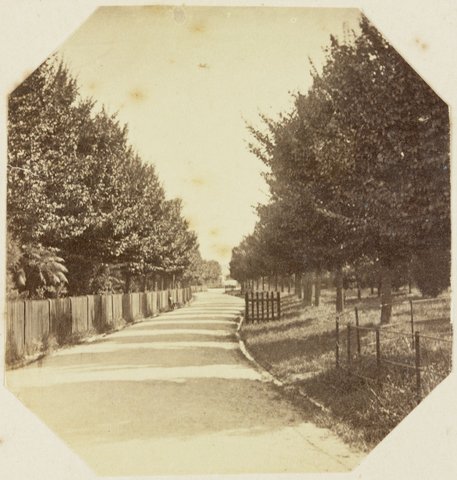 Fitzroy Gardens. Melbourne, 1873–82