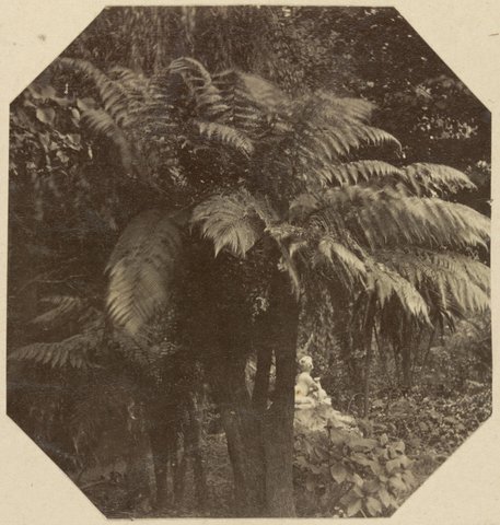Fitzroy Gardens. Melbourne, 1873–82