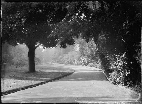 Botanic Gardens path, Melbourne, 1945–56