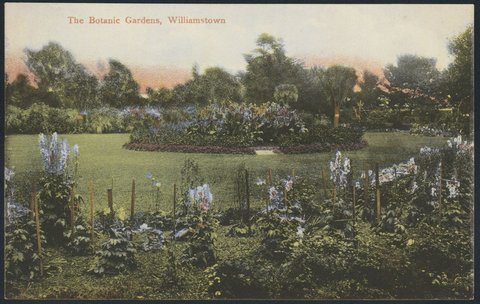 The Botanic Gardens, Williamstown, 1900s