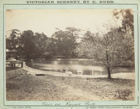 View at Royal Park, 1892–1900