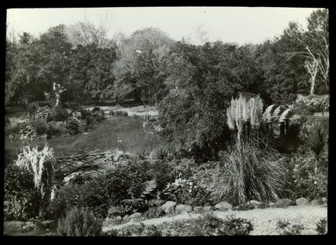 [Treasury Gardens, Melbourne], 1900–25
