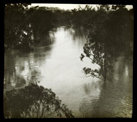 Yarra in flood at Alphington, 1911