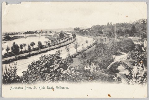 Alexandra Drive, St. Kilda Road, Melbourne, 1900–10