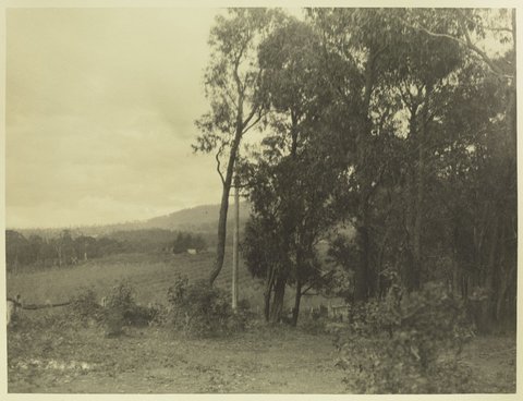 Countryside Towards Dandenong, c. 1920