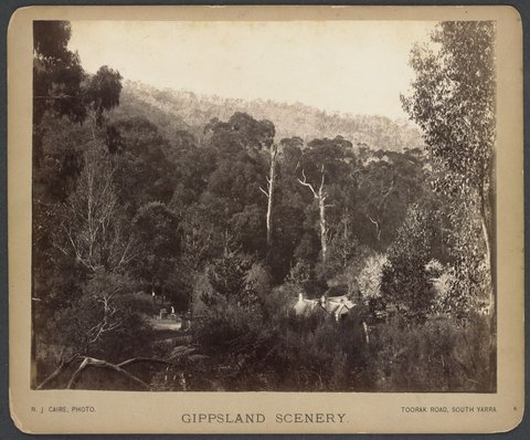 Scene on Dandenong Ranges, c. 1886