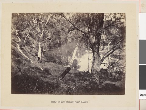 Scene in the Studley Park valley, 1877