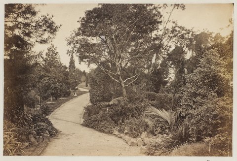 Botanical Gardens. [Melbourne], 1875