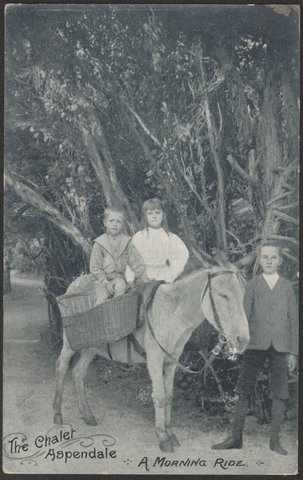 The Chalet Aspendale. A Morning Ride, c. 1908