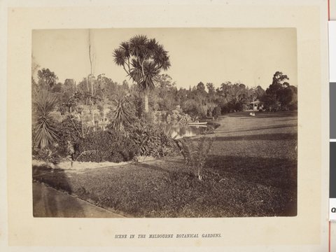 Scene in the Melbourne botanical gardens, 1877