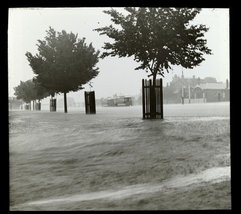 Flemington road in flood, with tram, Melbourne, 1906–14