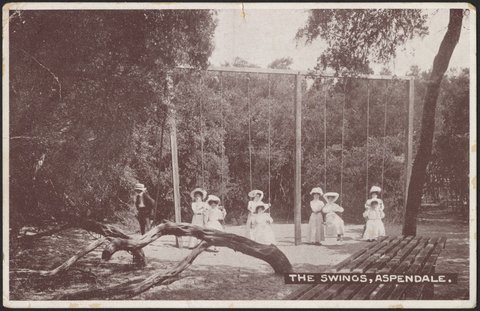THE SWINGS, ASPENDALE, c. 1908