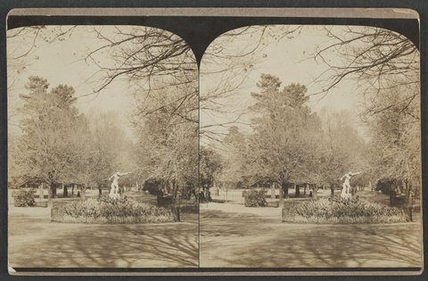 Statue of discus thrower, possibly Fitzroy Gardens, 1890–1900