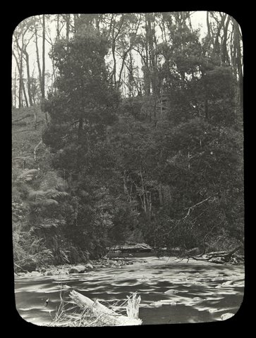 Rapids on bend in the Yarra River in country Victoria, 1909