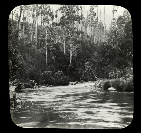 Bend in the Yarra River, country Victoria, 1909