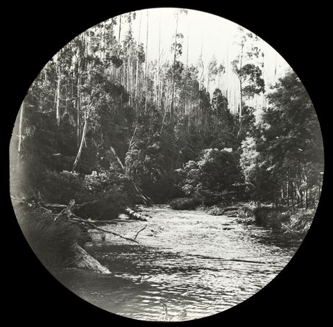 Yarra River, country Victoria, 1909
