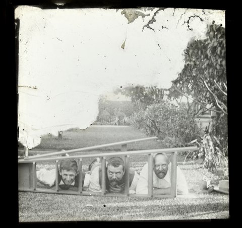 Three men poking their heads through ladder rungs, possibly at Princes Court, St. Kilda, 1909