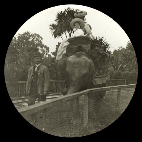 Woman and child riding elephant at Royal Melbourne Zoo, 1909
