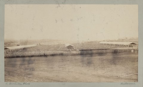 City Cattle Market at Flemington 1875 (3)