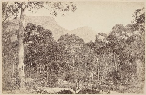 Hall's Gap, The Grampians. 196 Miles N.W. from Melbourne, 1870–80