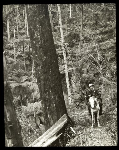Two men on horseback, Dandenong Ranges, 1909