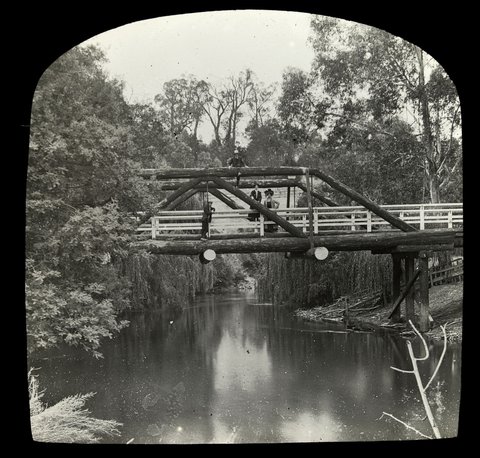Log bridge, Yarra River in country Victoria, 1909