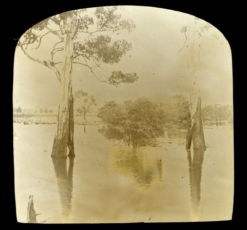 Yarra River in flood, Victoria, 1909