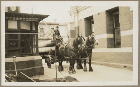 Two horses pulling wagon load of logs into Bryant & May Richmond picture, 1928