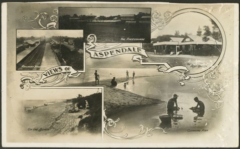 VIEWS of ASPENDALE, c. 1909