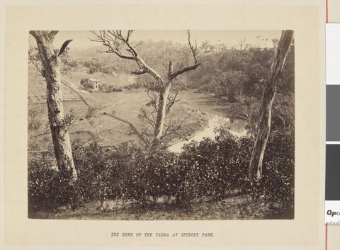 The bend of the Yarra at Studley Park, 1877