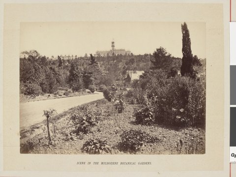 Scene in the Melbourne botanical gardens, 1877
