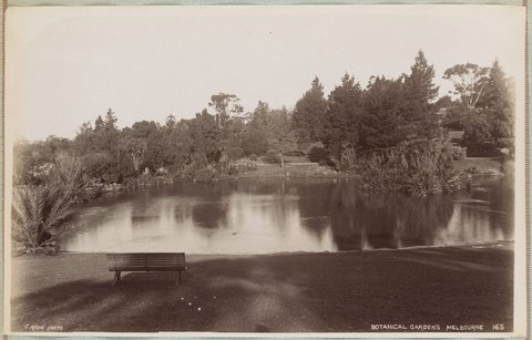 Botanical Gardens, Melbourne [another view], 1892–1900
