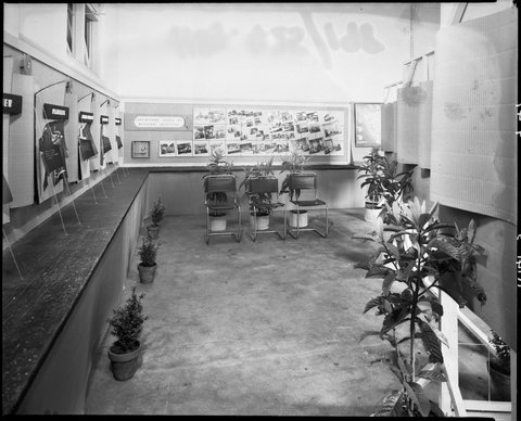 View of architecture walk-in exhibit, Melbourne Technical College (R.M.I.T.), 1947