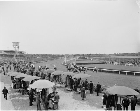 View of crowd beside racetrack, Flemington Racecourse, 1949
