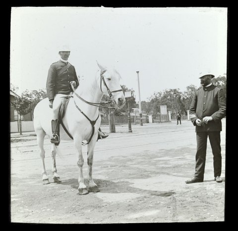 Trooper on a white horse before Great White Fleet parade, Melbourne, 1908