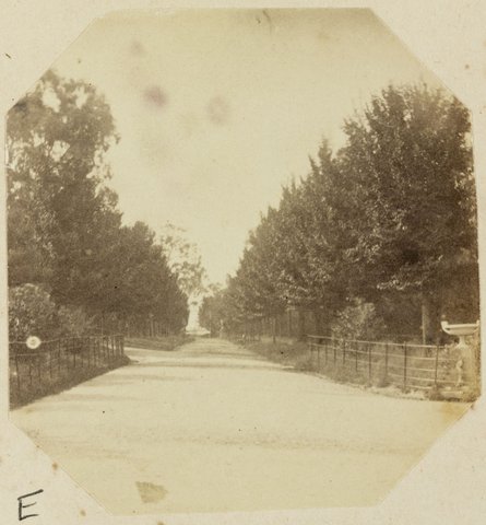 Fitzroy Gardens. Melbourne, 1873–82