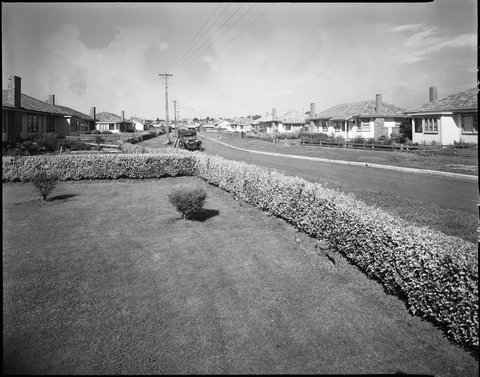 Housing Commission of Victoria homes in the Preston and Northcote areas, 1949