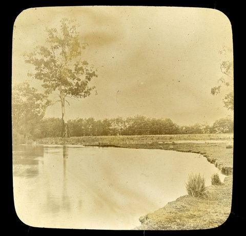 Riverbank, Yarra River, Victoria, 1909