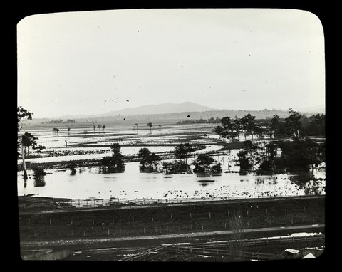 Floodplain, Yarra River, Victoria, 1909