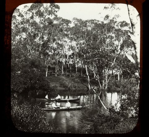 Two rowing boats on the Yarra River, Melbourne, 1909