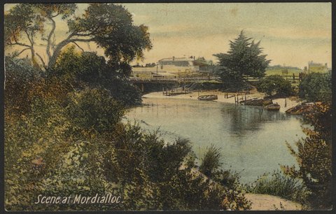 Scene at Mordialloc, c. 1910