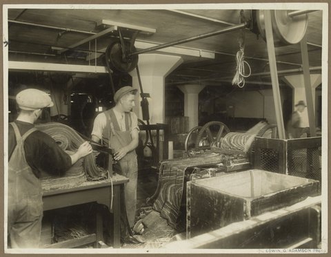 Splint Cutting from Hoop Pine Richmond, 1910–30